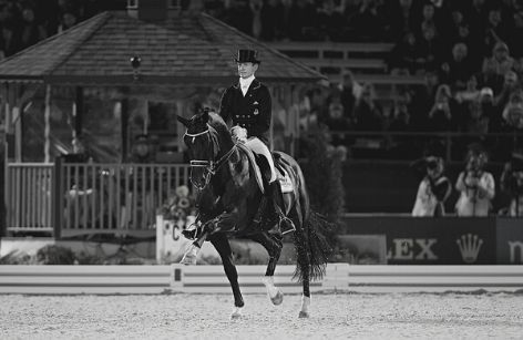 Fenomeen Totilas overleden - een dressuurlegende!