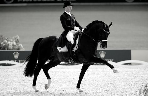 Totilas ist verstorben - Eine Ära geht zu Ende