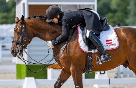 Dressurrangliste 2020