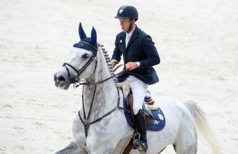 Dana Blue is KWPN springpaard van het jaar 2020!