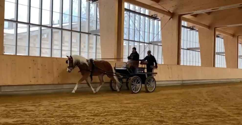 Aller guten Dinge sind DREI