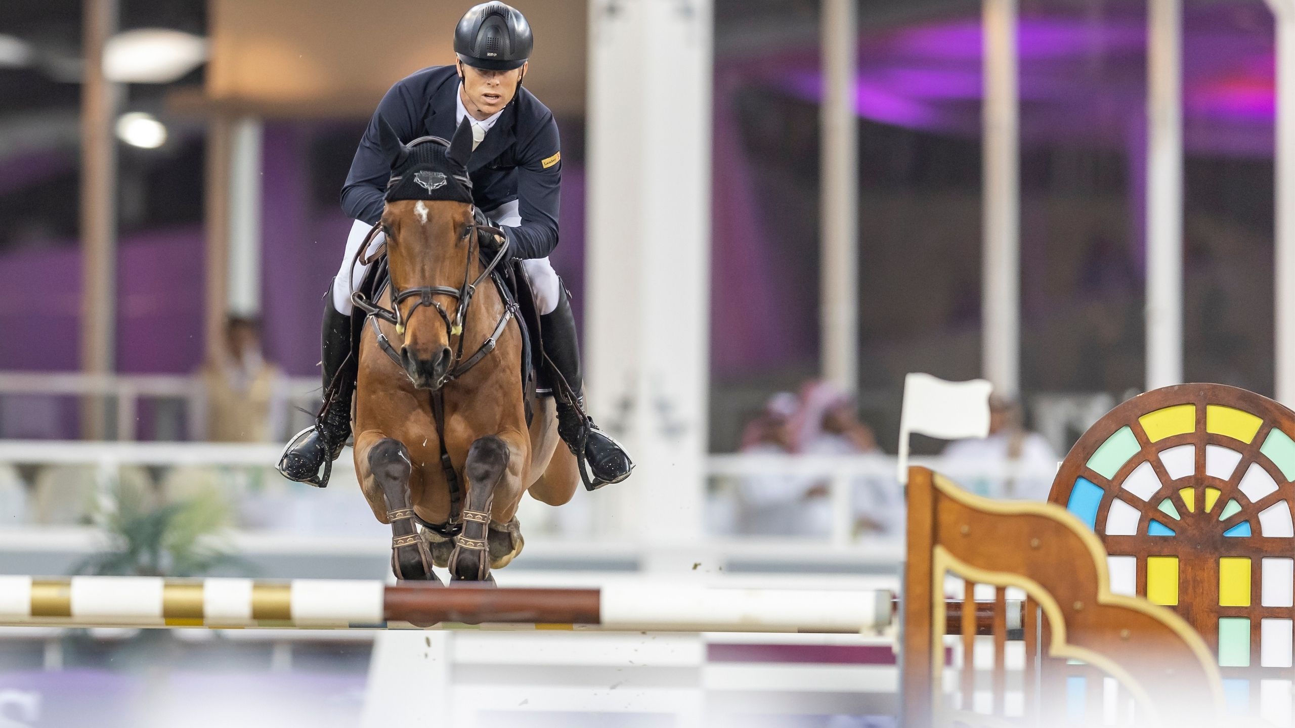 Elektric Blue P – Rang 1 der Springpferde Österreichs!