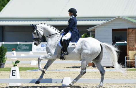 Ein steigender Stern am Dressurhimmel