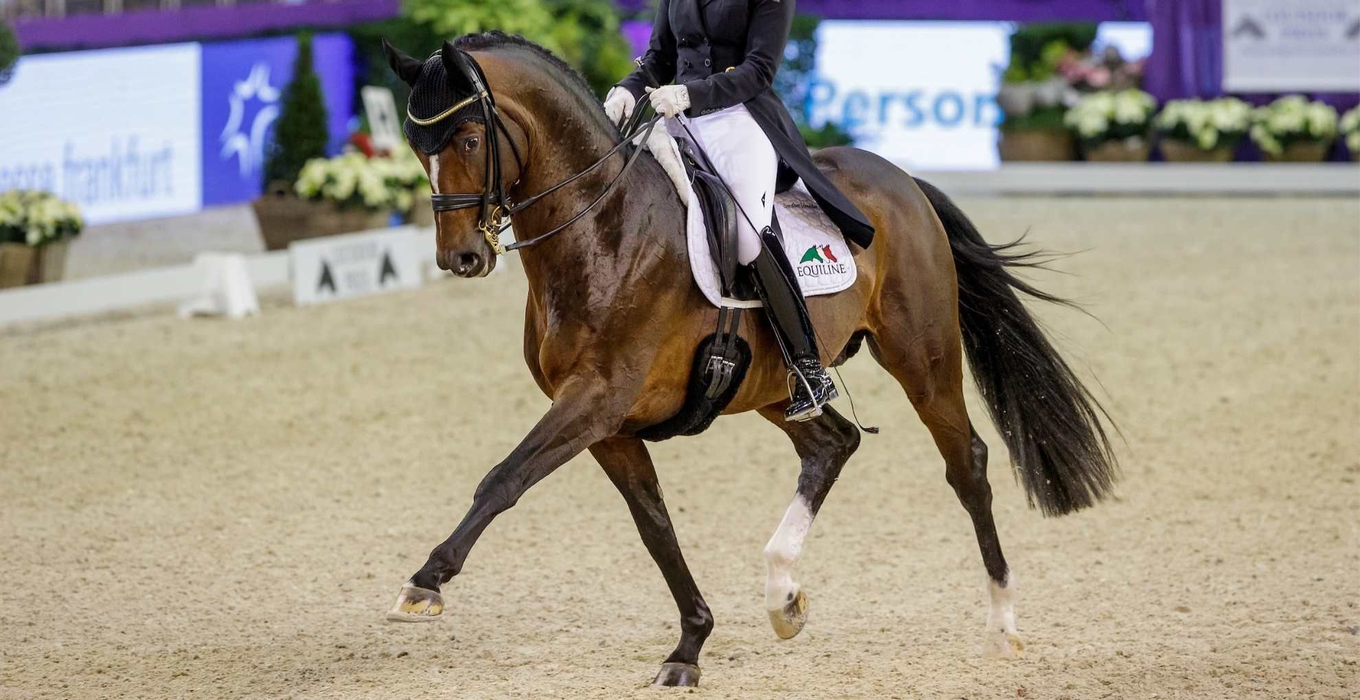 #Dreamteam im werden - Lisa Müller & Quantum Vis MW