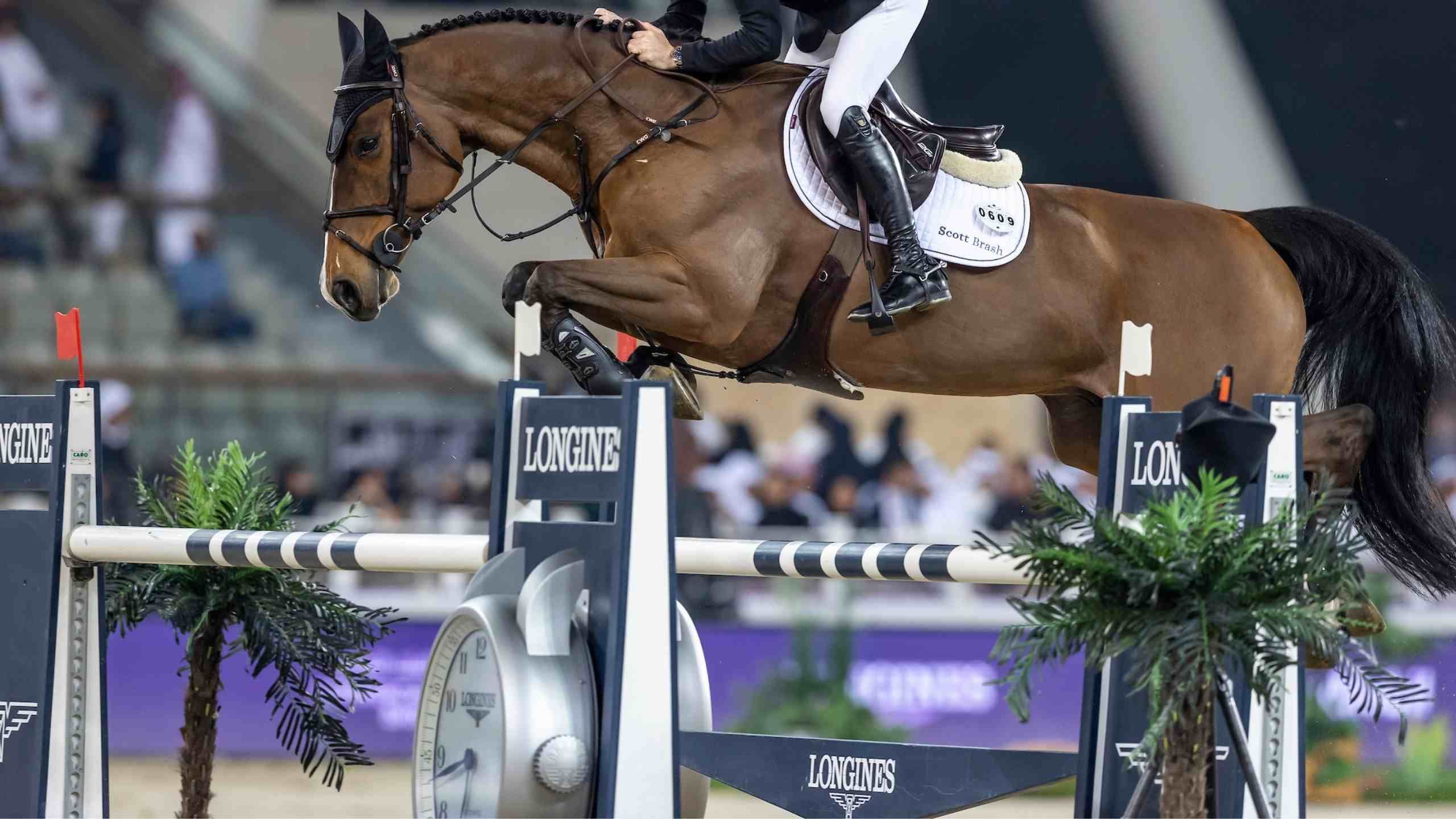 Top 10 der Weltrangliste