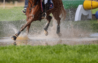 Mehrfach platziert in Strzegom Spring Open 2021