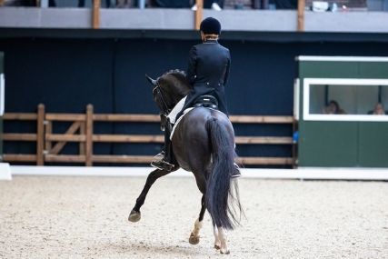 Dressage - Reprises libre en musique 2021