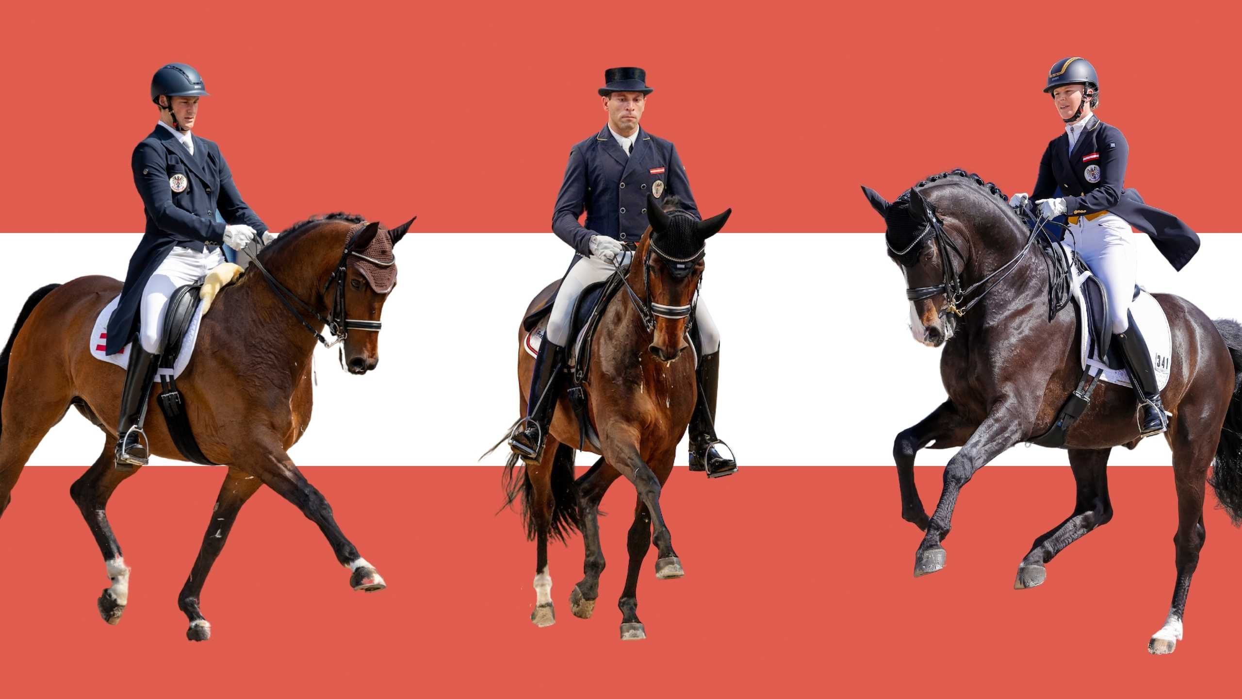 Unser Team - Dressur