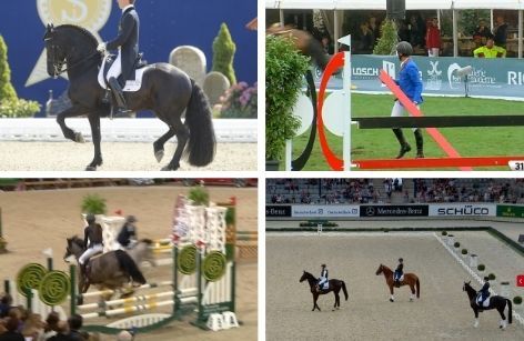 Highlights aus dem Pferdesport