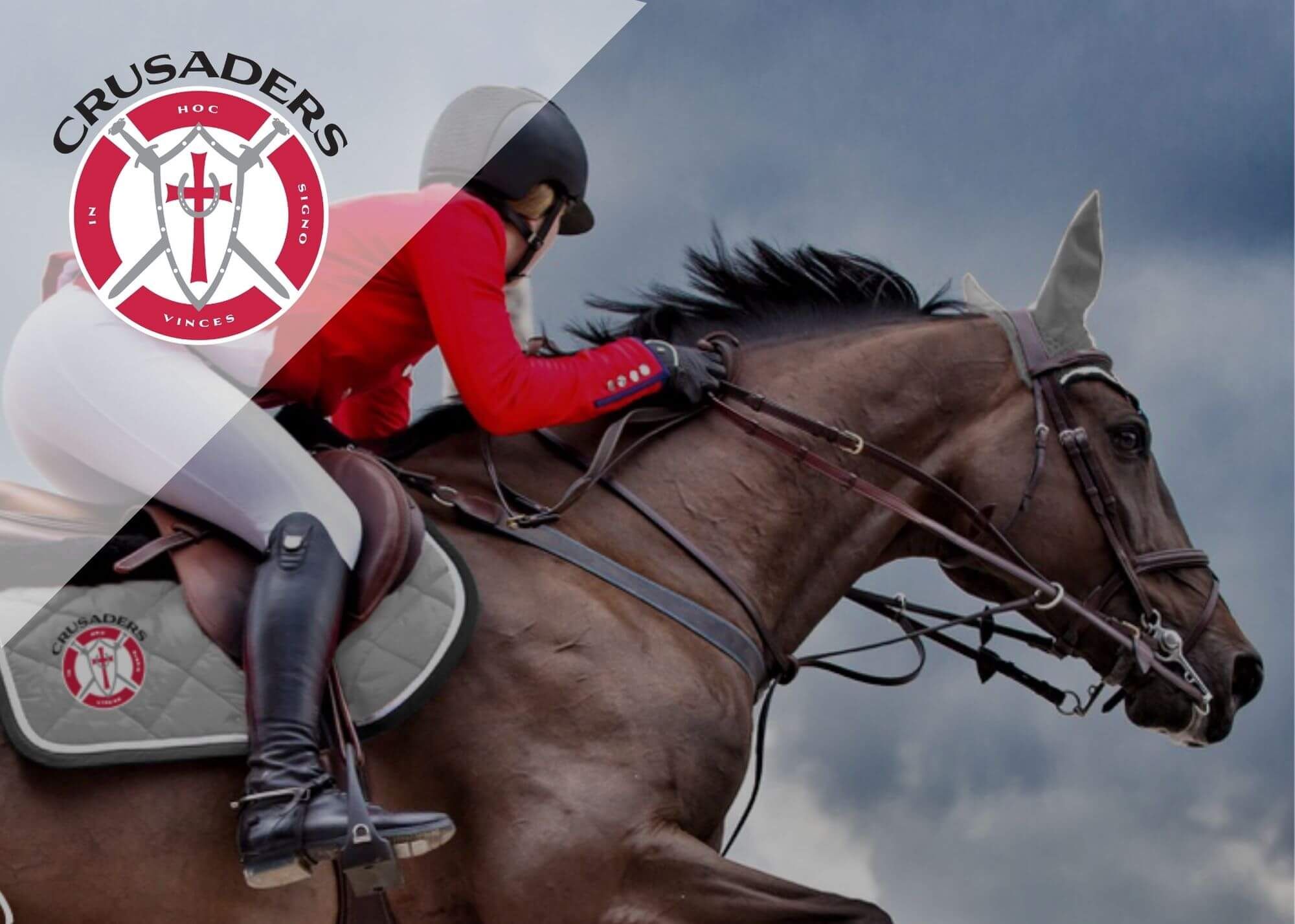 Major League Show Jumping: CRUSADERS