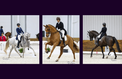 Half Halt Stables - The Benne Family