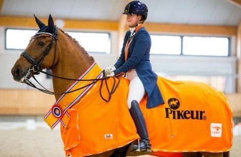 KNHS Indoorkampioenschappen