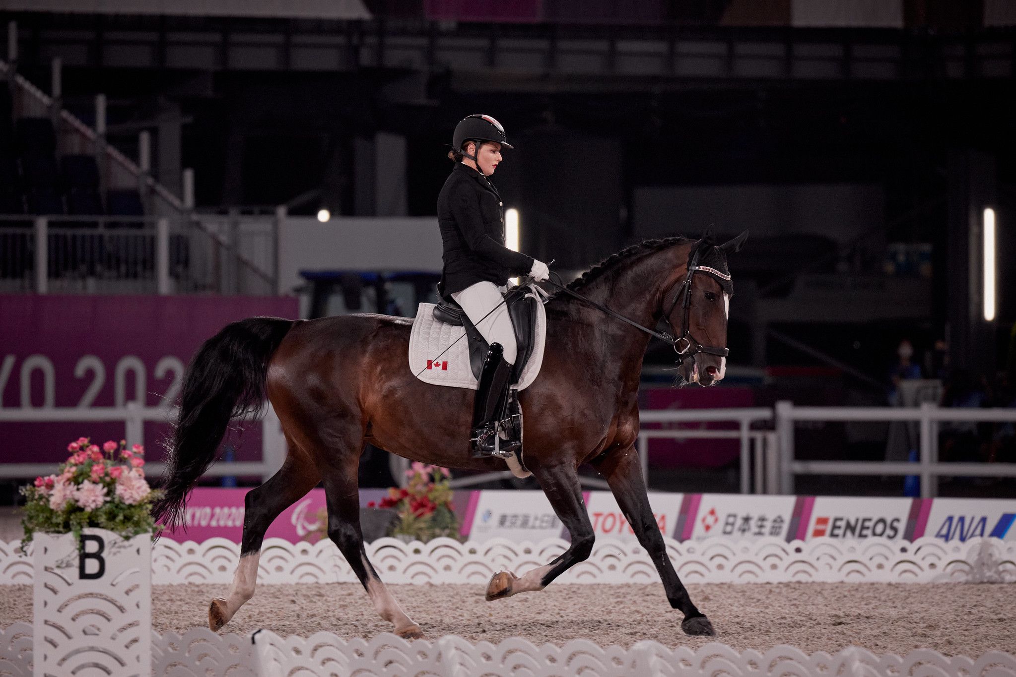 Roberta Sheffield - Canadian Para-Dressage Rider