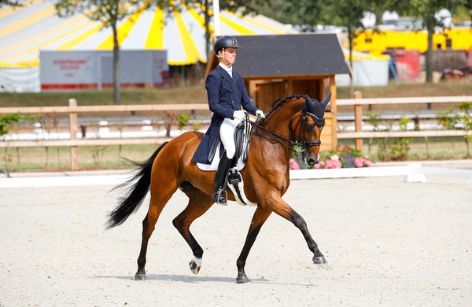 Marten Luiten - de besten ritte!