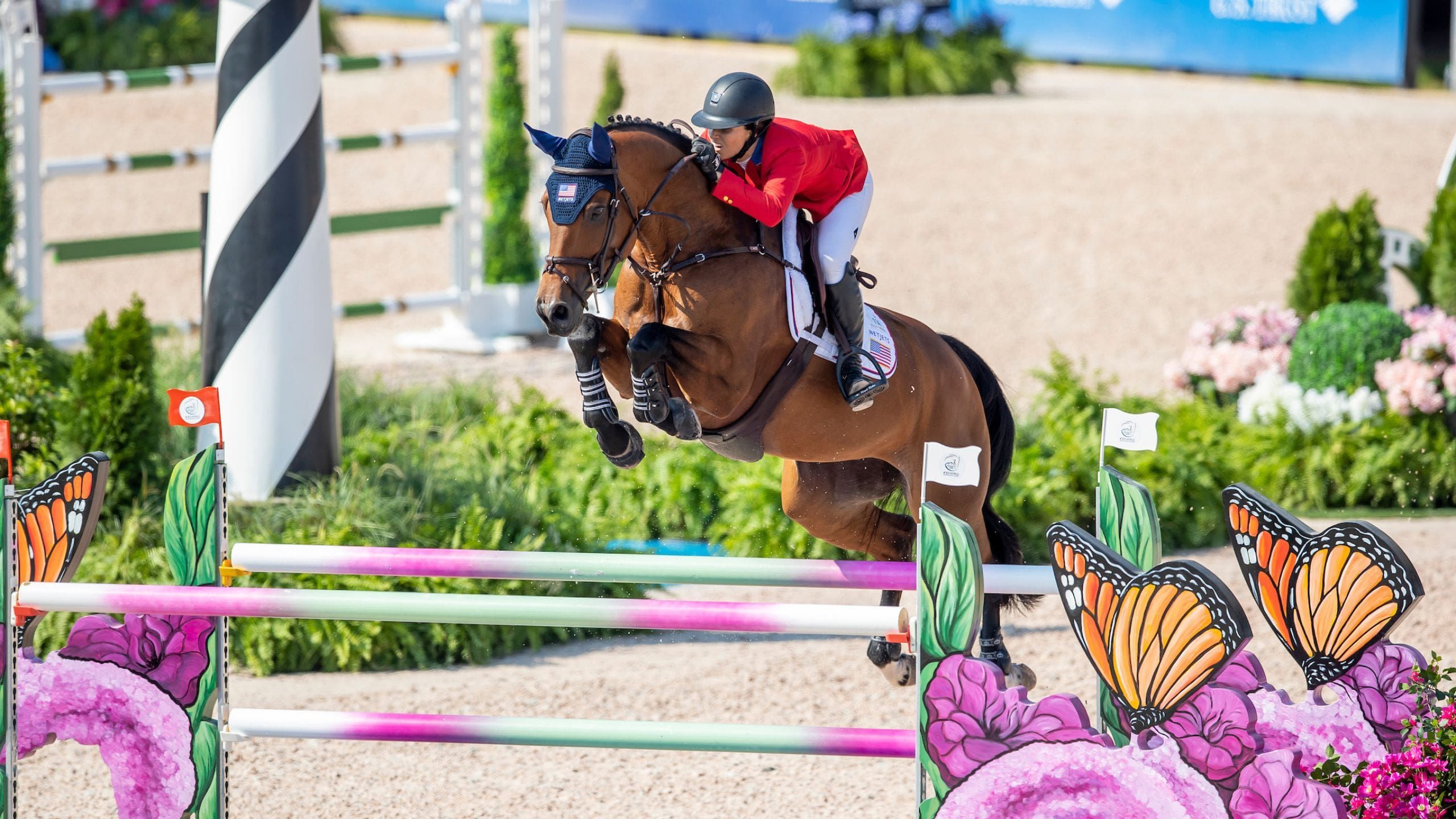 Adrienne Sternlicht - WEG Gold Medal Winner