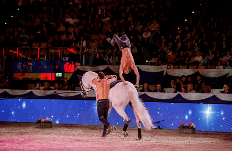 Zu Gast bei... unseren Voltigier-Cracks