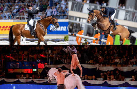 Zu Gast bei... unseren Top-Athleten