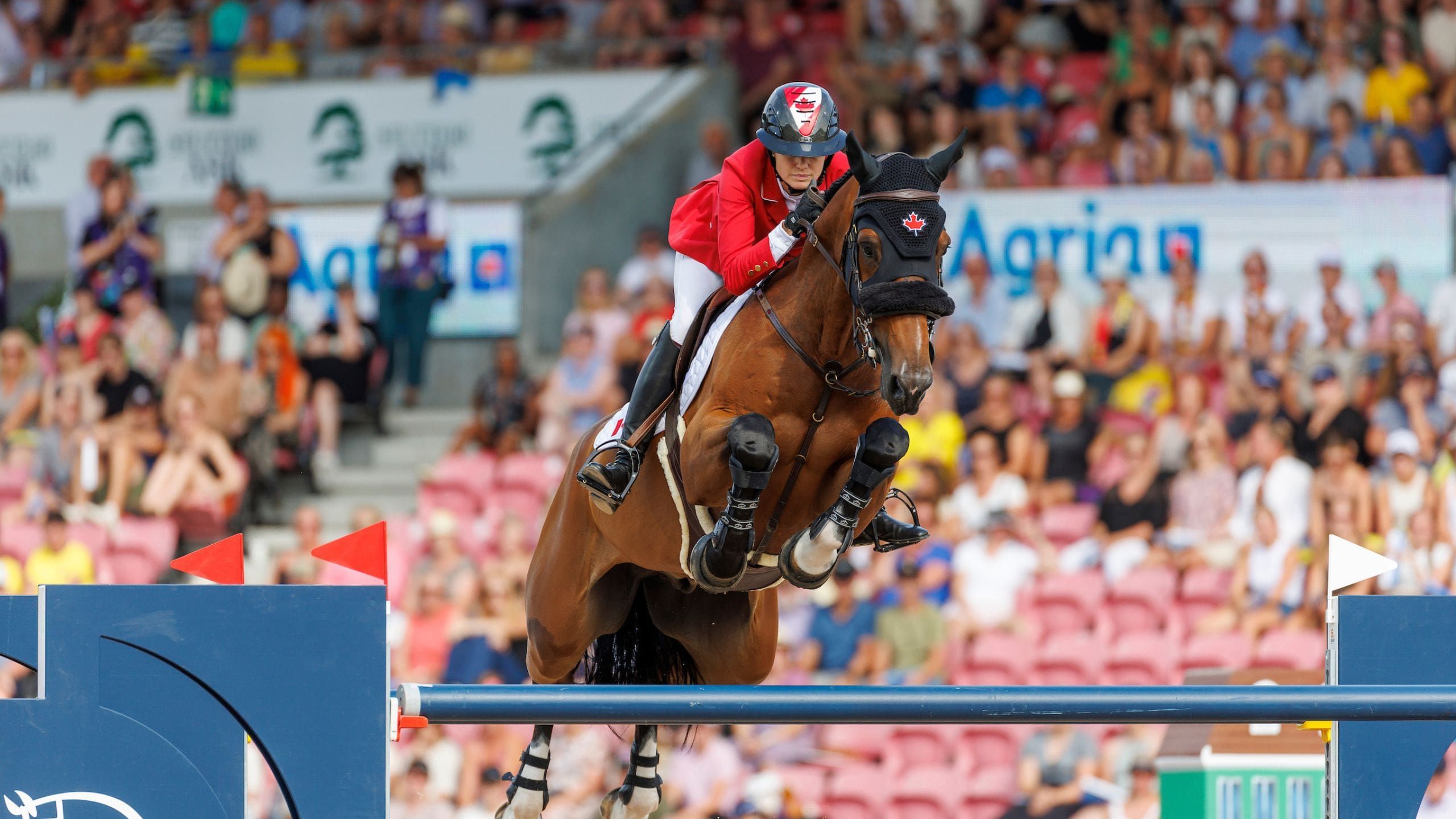 Tiffany Foster - Canadian show jumper