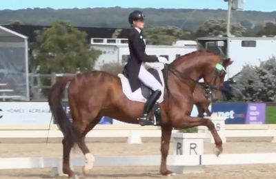 Australias rising dressage star