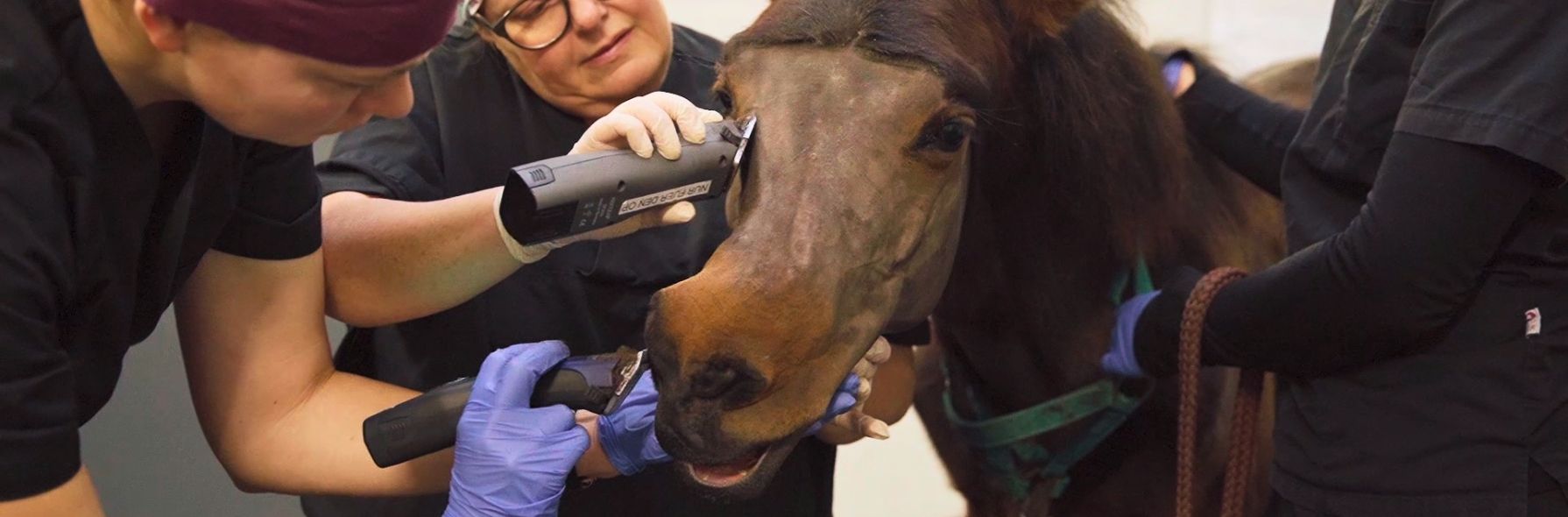 Wry Nose Syndrom – Diagnostik und chirurgische Versorgung