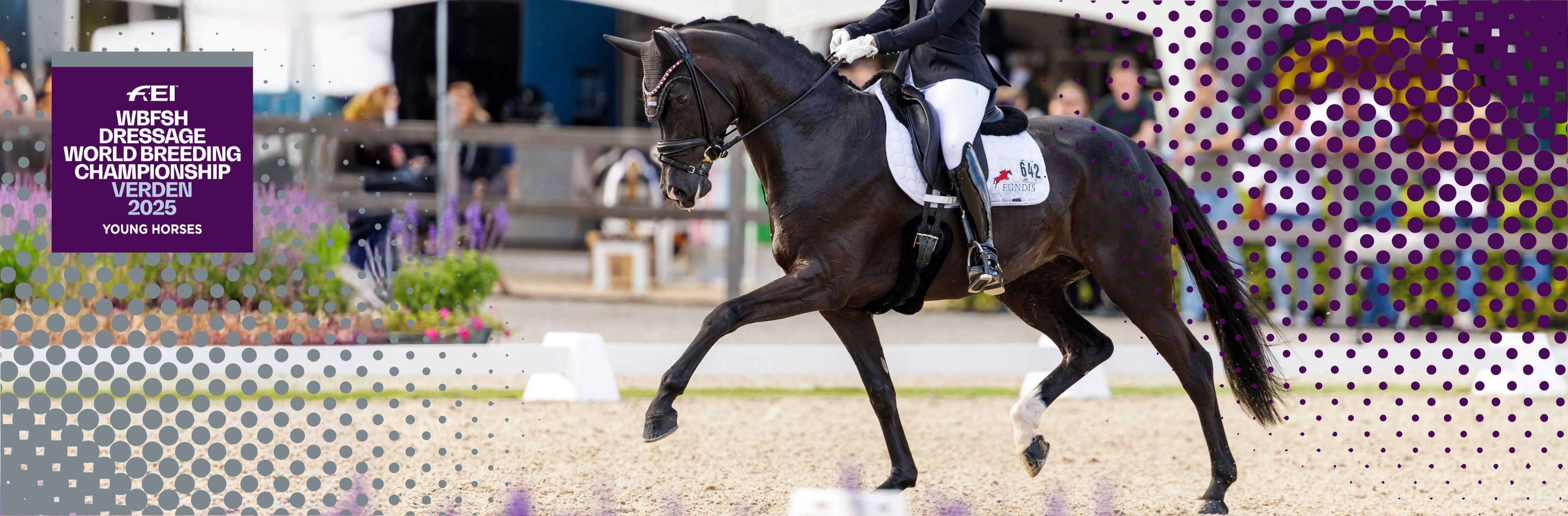FEI WBFSH Dressage World Breeding Championship for Young Horses
