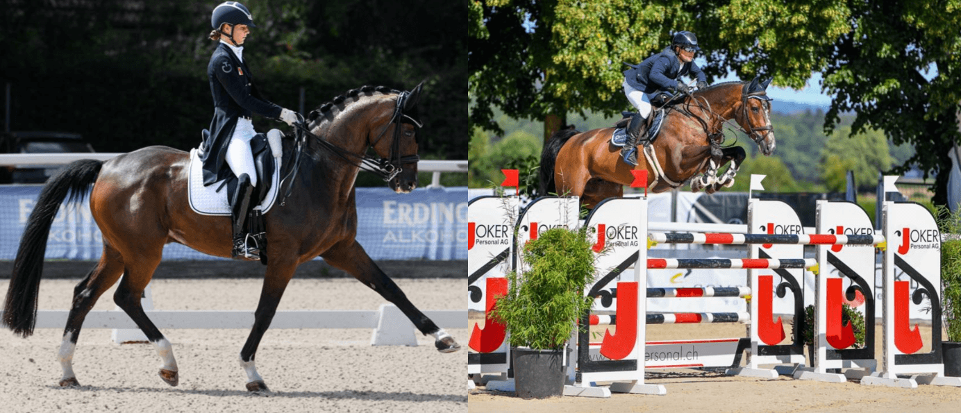 Zurich Masters