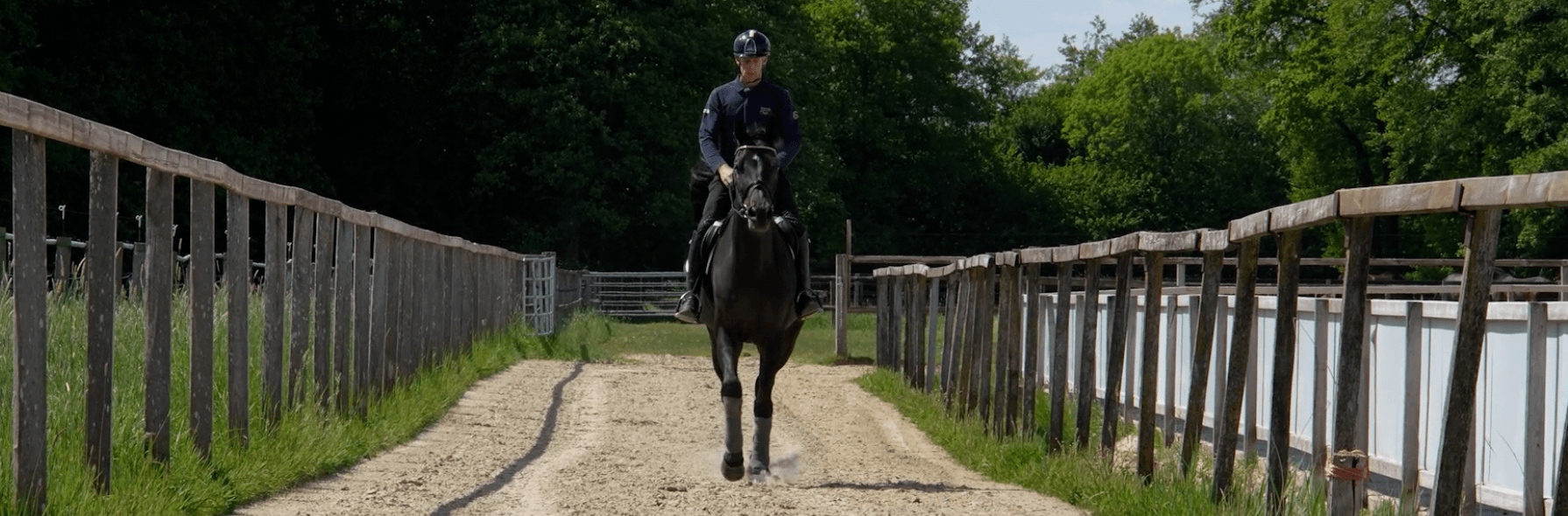 Trainingseinblicke mit Marcus Ehning