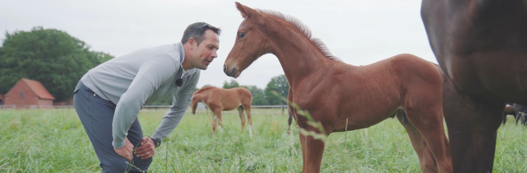 Zu Gast bei... Sebastian Heinze: Unabhängig denken, unkompliziert reiten