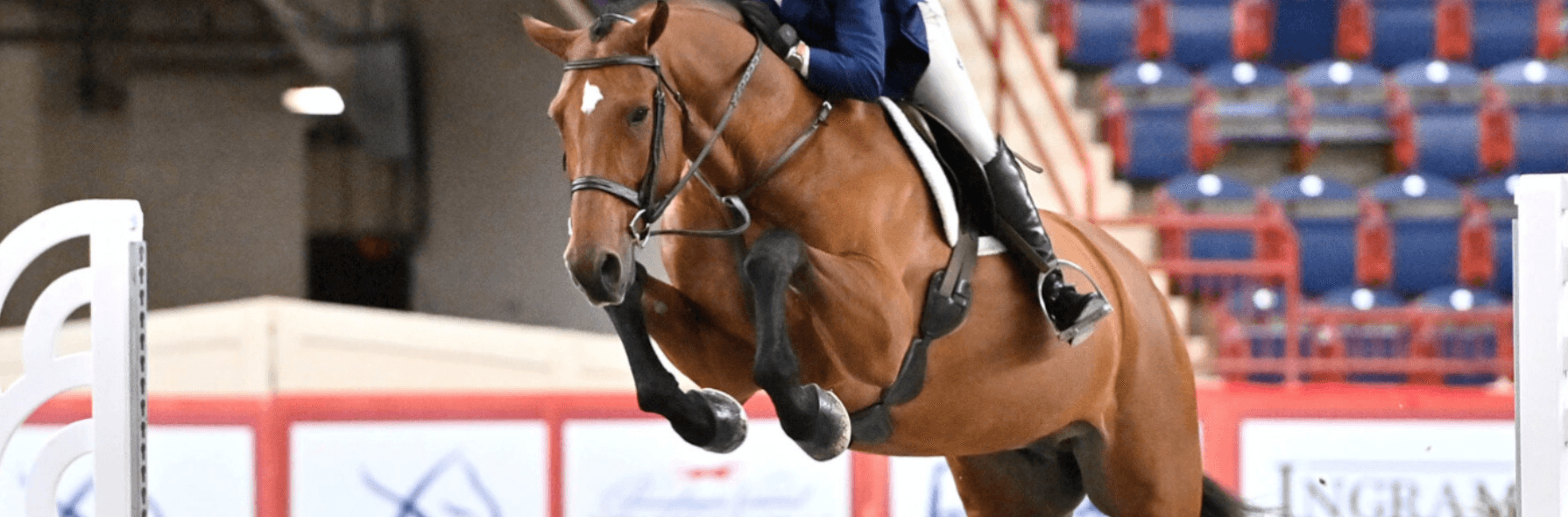 Penn National Horse Show