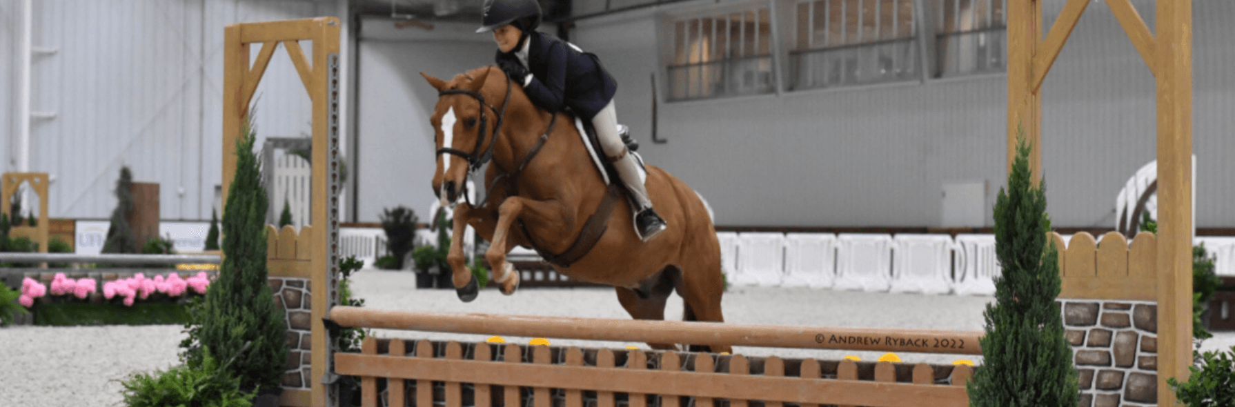 World Equestrian Center