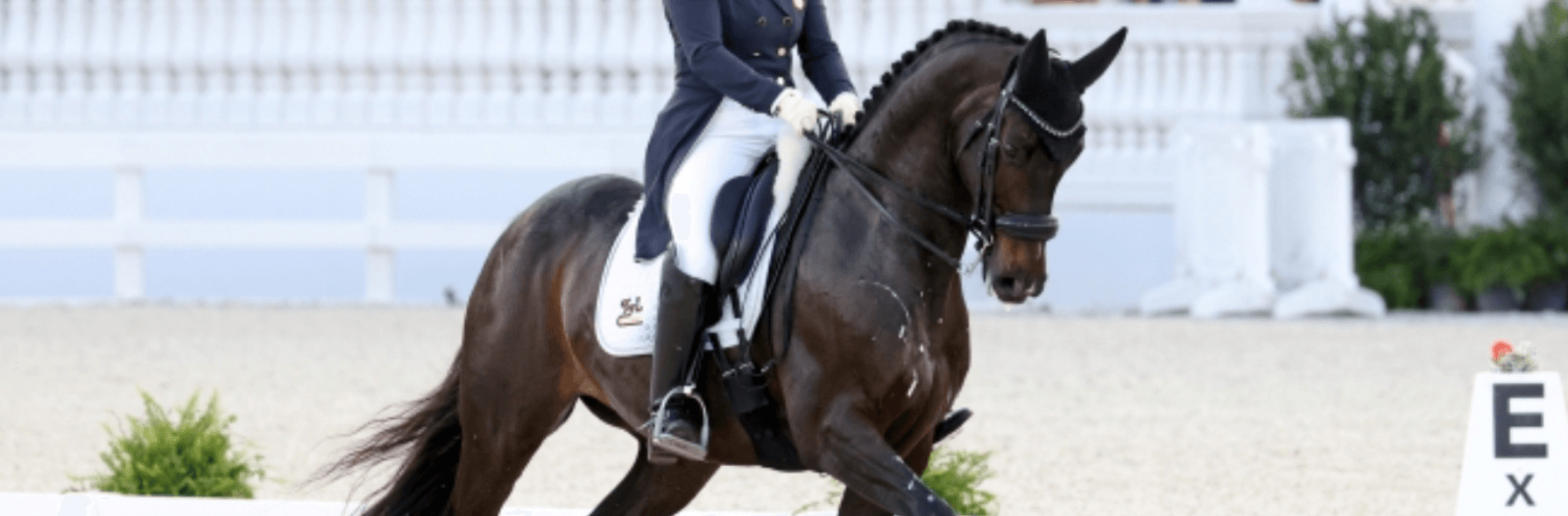 WEC October Dressage