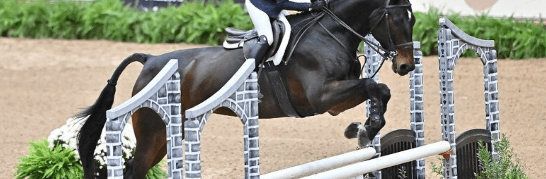 National Horse Show