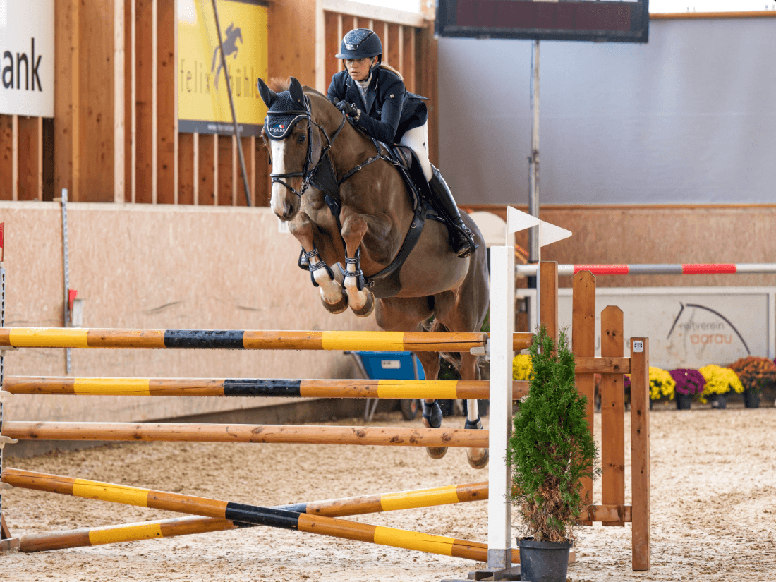 Hallenconcours Aarau