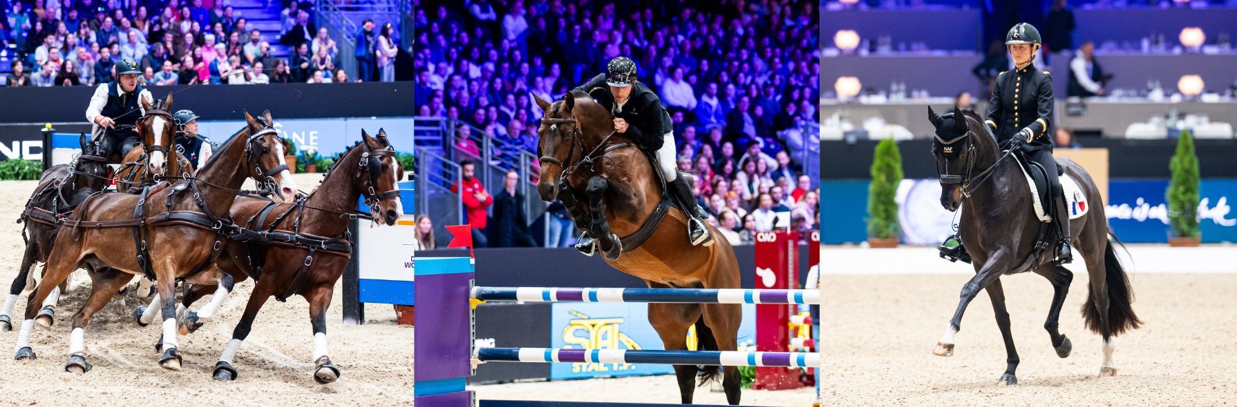 LONGINES EQUITA LYON - FEI World Cup™ Jumping-Dressage-Driving 2025-2026