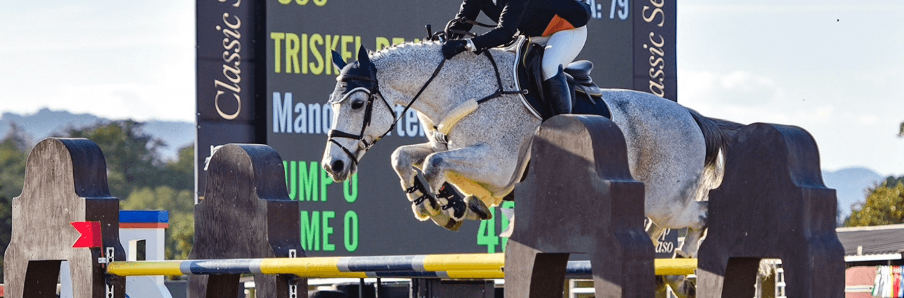 Paso Park Oak Tree Classic