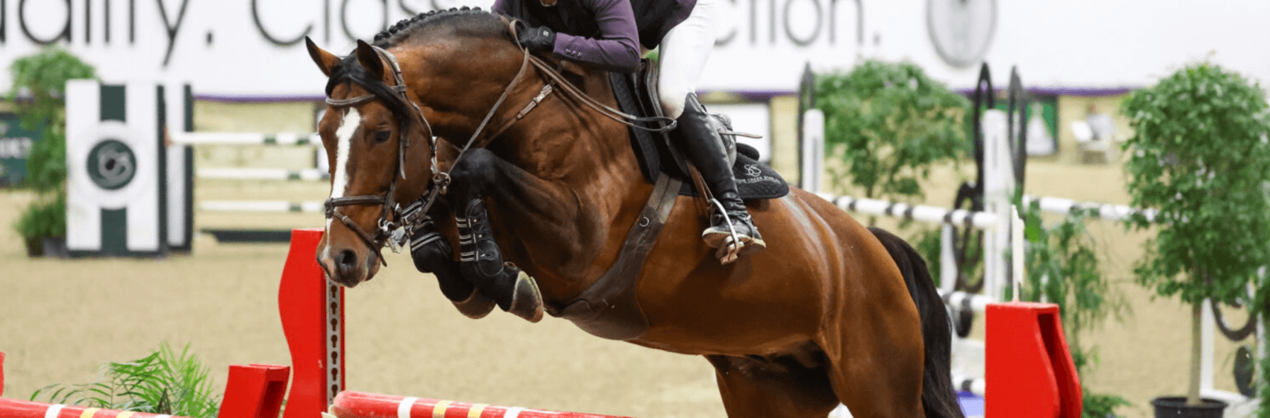World Equestrian Center Ohio