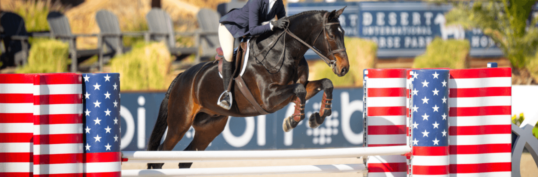 National Sunshine Series 2