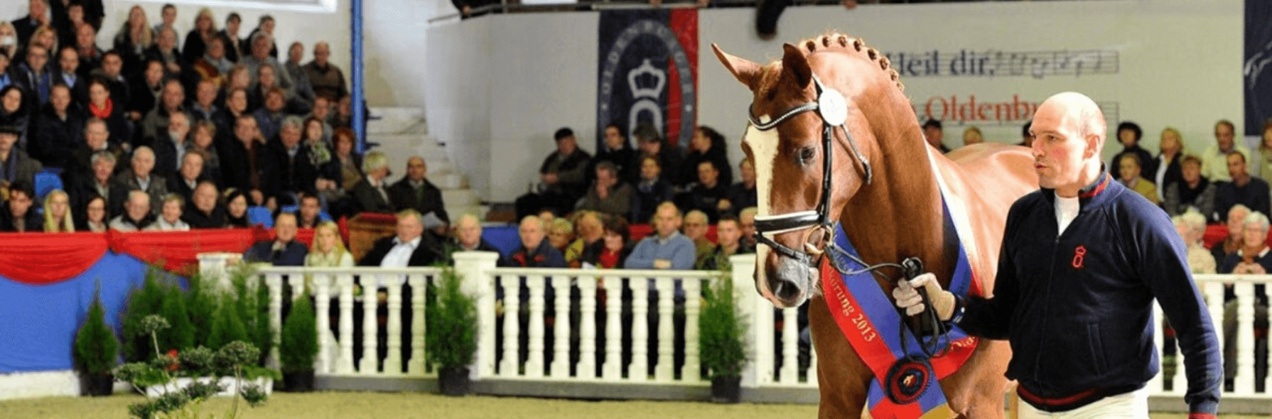 Oldenburger Hengsttage