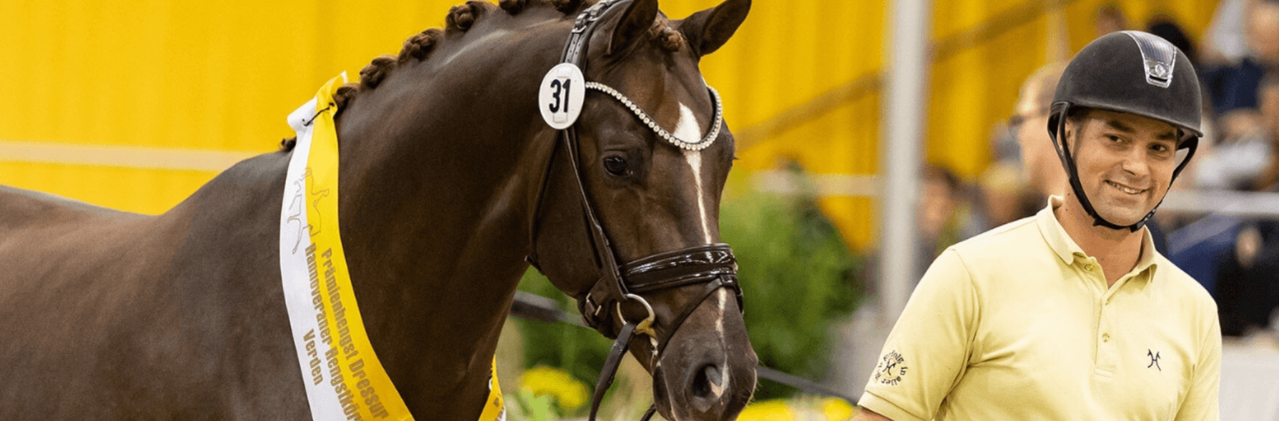 Verdener Hengstkörung mit Hengstmarkt - Dressur