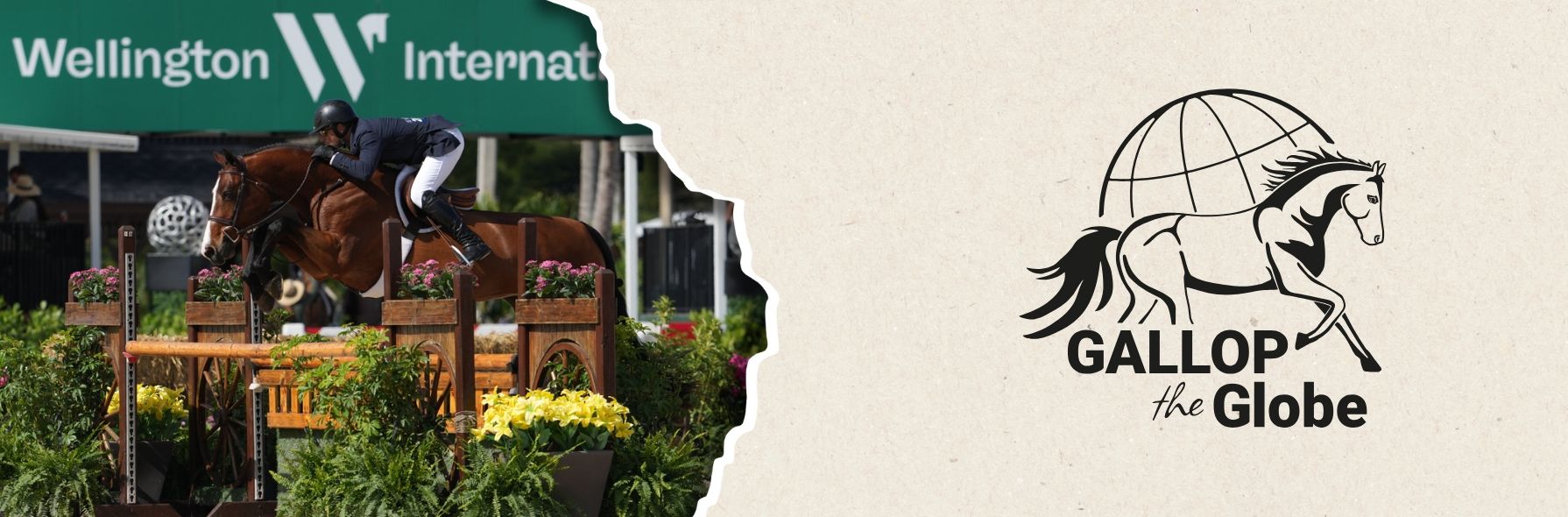 Look behind the scenes at WEF in Wellington