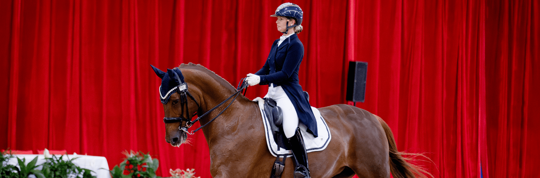 The Victorian Dressage Festival