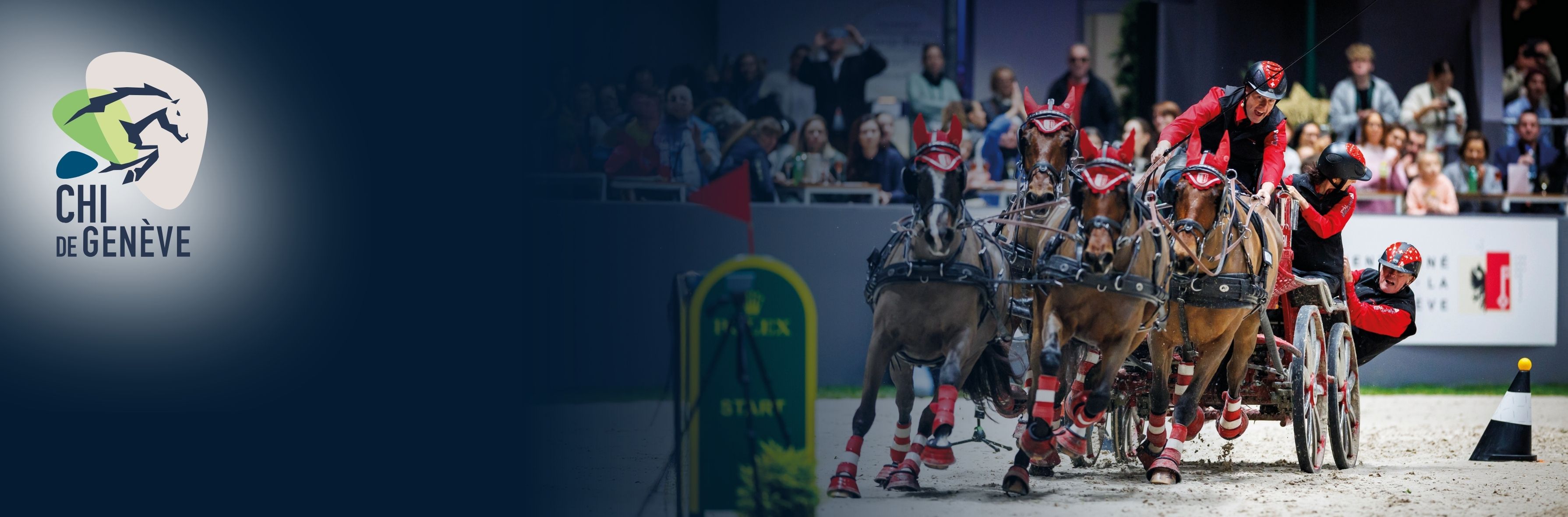 JETZT LIVE - FEI World Cup im Gespannfahren in Genf