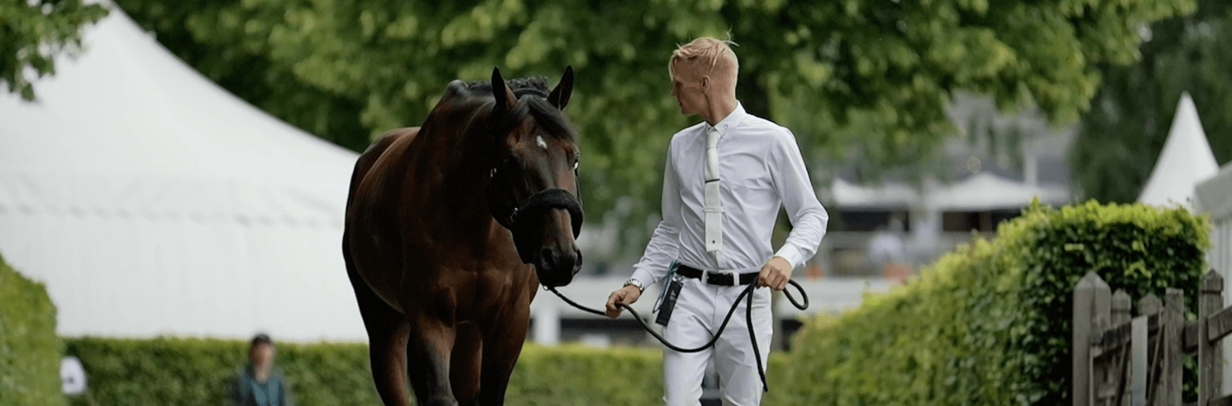 Zu Gast bei...Tom Schewe