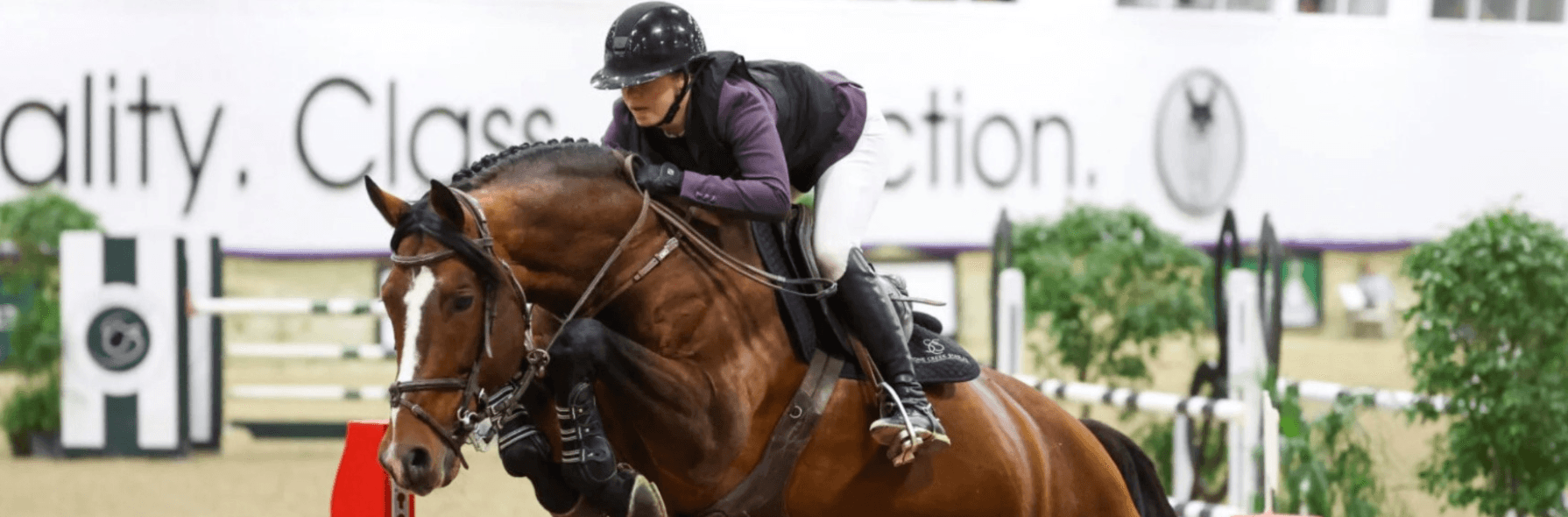 World Equestrian Center