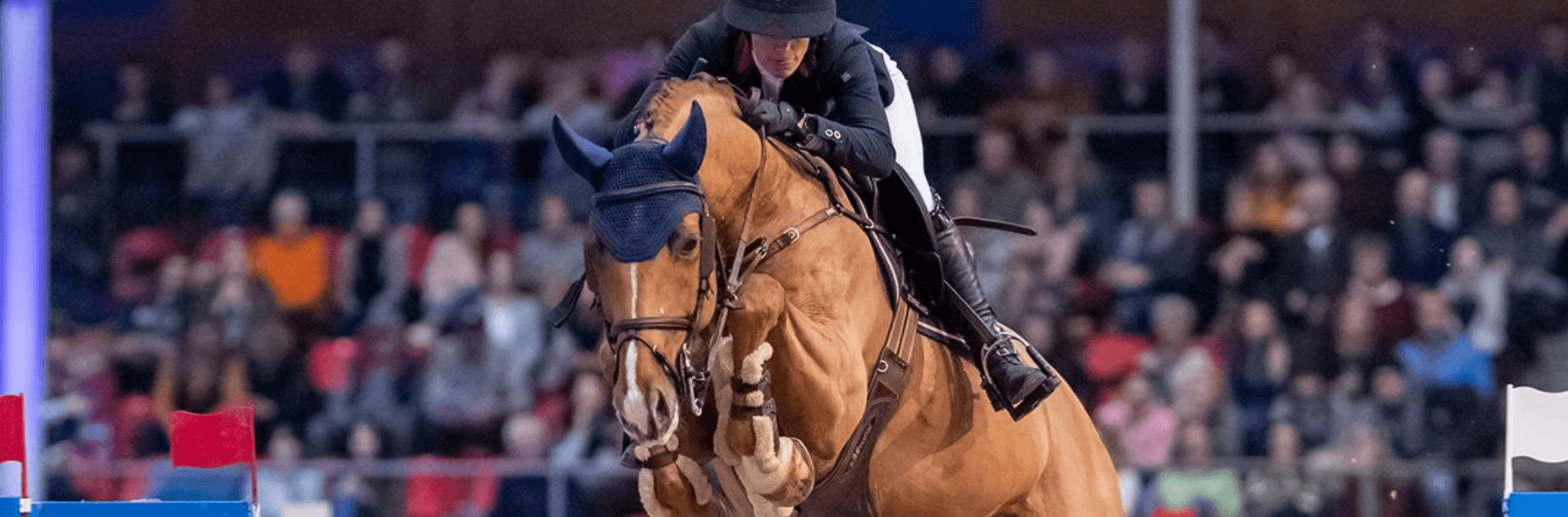 24. CSI Neustadt-Dosse & Schaufenster der Besten