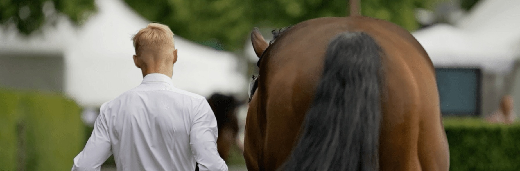 Zu Gast bei...Tom Schewe