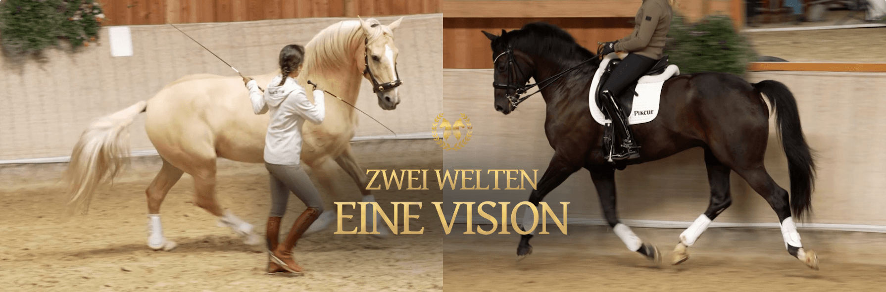 Versammlung erarbeiten