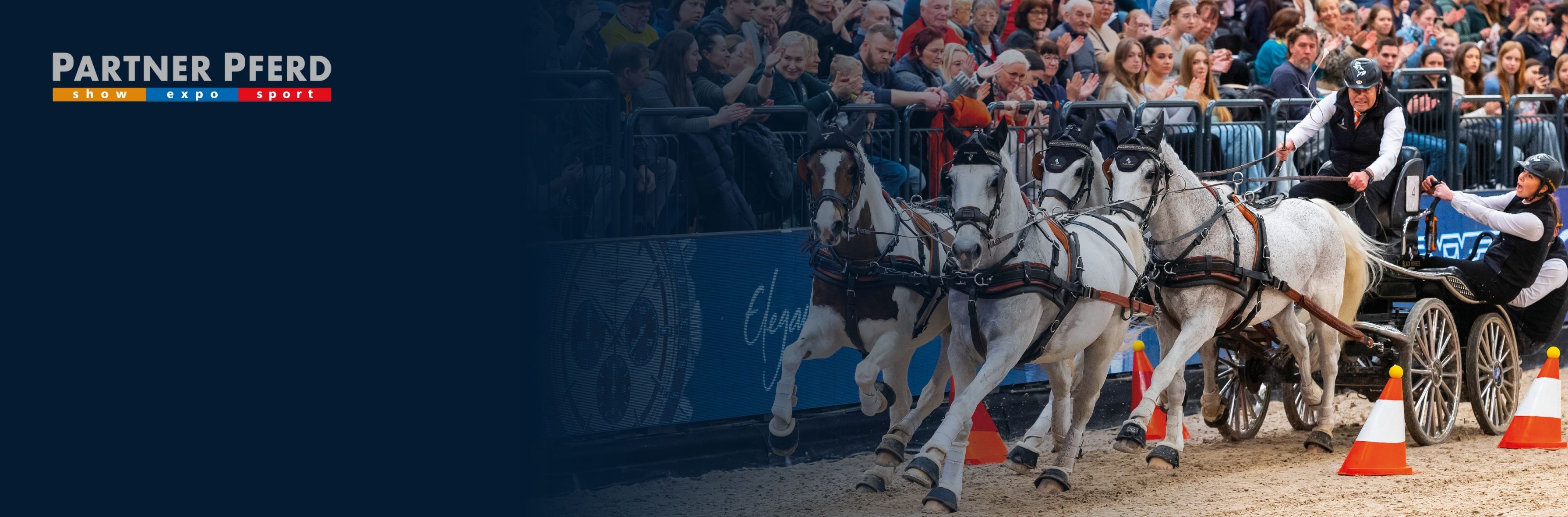 JETZT LIVE -  Weltcup im Gespannfahren Prüfung 1 in Leipzig
