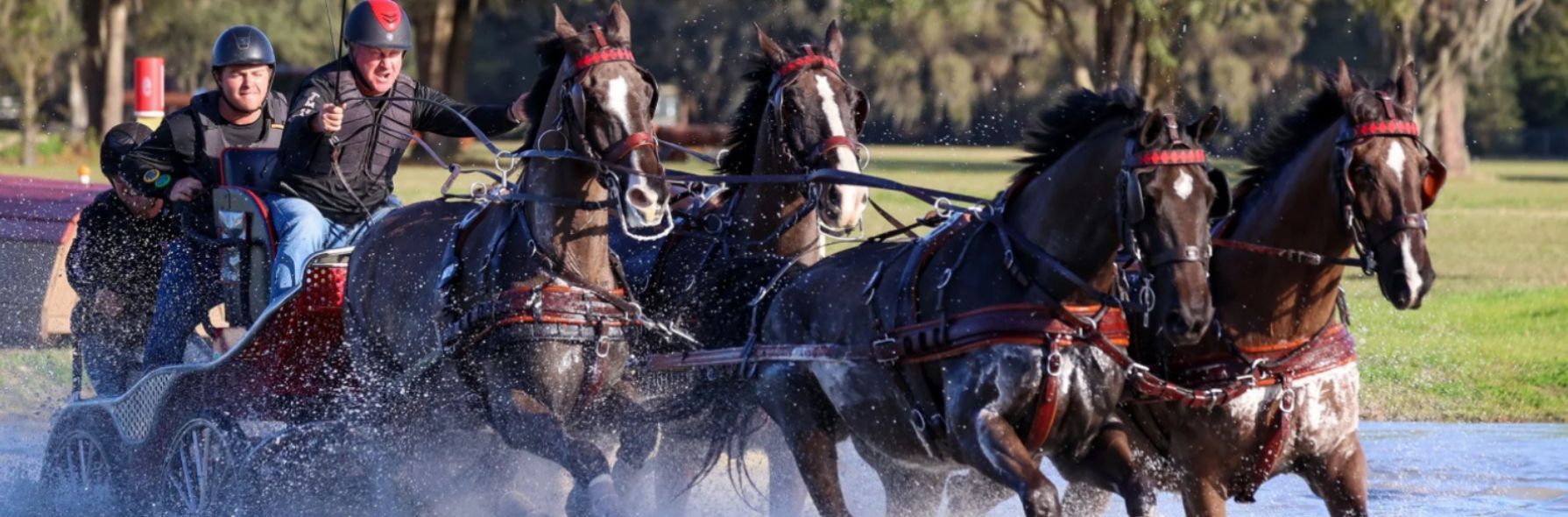 Combined Driving at TerraNova