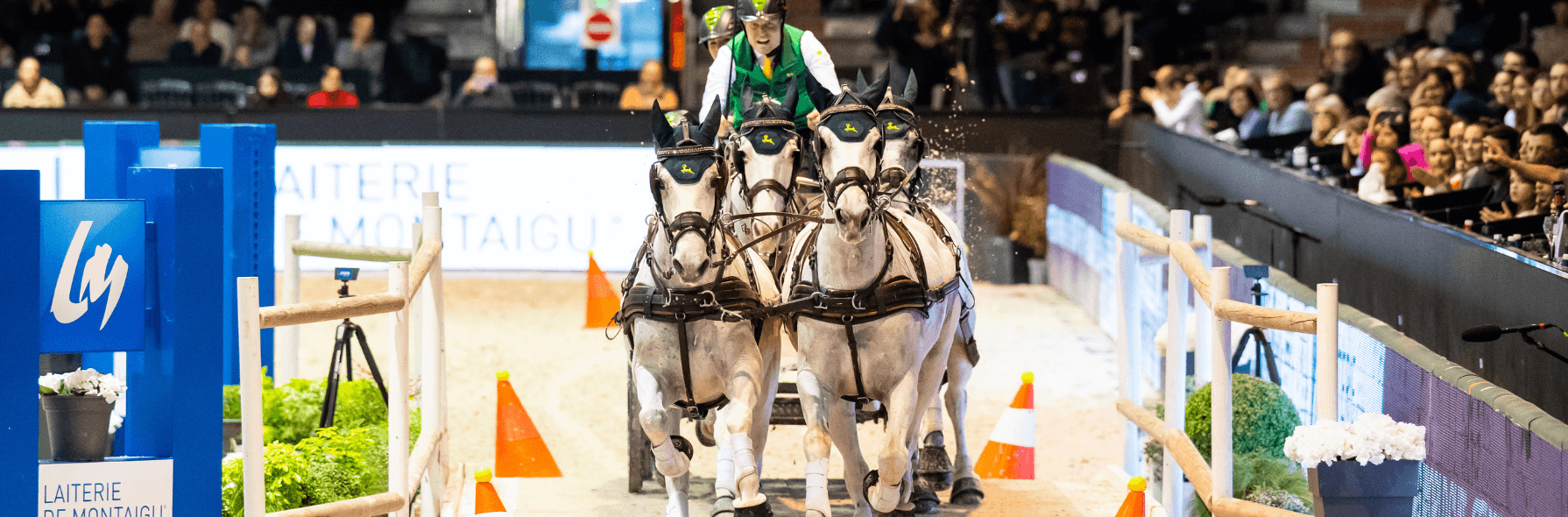 Jumping International de Bordeaux FEI World Cup™ Jumping-Driving 2025-2026 | WEL - Bordeaux